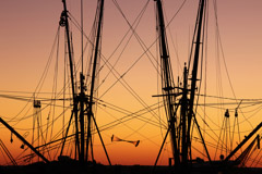 Tim Barnwell  -  Fishing Boat Masts, Darien, GA / Pigment Print  -  Available in Multiple Sizes