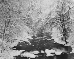 Tim Barnwell  -  Spring Creek in Heavy Snow, Hot Springs, Madison County, NC, 1987 / Silver Gelatin Print  -  11 x 14