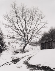 Tim Barnwell  -  Tree and Shed in Snow, Hurricane, Madison County, NC, 1987 / Silver Gelatin Print  -  11 x 14