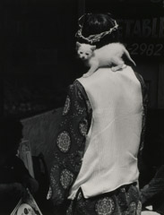 Ruth-Marion Baruch  -  White KItten on White Shoulder, Haight Ashbury, 1967 / Silver Gelatin Print  -  9.5 x  6.5