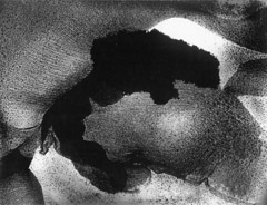Wynn Bullock  -  Reticulation Abstraction, 1951 / Pigment Print  -  9x12, 11x14 or 16x20