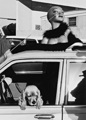 Edna Bullock  -  Head and Dog 1982 / Pigment Print  -  available in multiple sizes