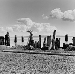Edna Bullock  -  Piling Fence at Port Townsend 1995 / Pigment Print  -  available in multiple sizes