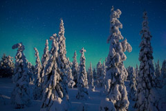 Peter Essick  -  Oulanka National Park, Finland, 2009 / Pigment Print  -  available in multiple sizes