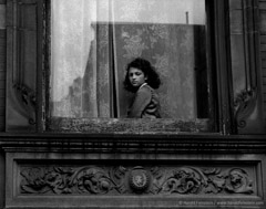Harold Feinstein  -  Girl in Harlem Window, 1954 / Silver Gelatin Print  -  16 x 20