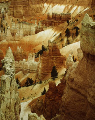 Philip Hyde  -  Bryce Canyon, Navajo Loop Trail, Utah, 1977 / Cibachrome Print  -  8 x 10