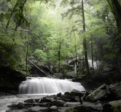 Diane Kirkland  -  Cloudland Canyon #4 / Pigment Print  -  Available in Multiple Sizes