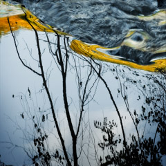 Diane Kirkland  -  Sweetwater Creek / Pigment Print  -  Available in Multiple Sizes