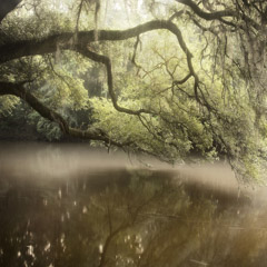 Diane Kirkland  -  Itchaway Creek / Pigment Print  -  Available in Multiple Sizes