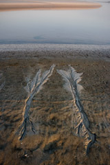 unknown  -  Sand Streams / Pigment Print  -  30x20 or 36x24