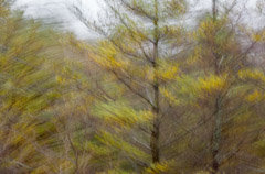 Julieanne Kost  -  Vermont, #1755, 2012 / Pigment Print  -  Available in Multiple Sizes