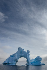 Julieanne Kost  -  Antarctica 2 / Pigment Print  -  Available in Multiple Sizes