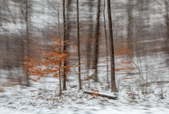 Julieanne Kost  -  Vermont, #1867, 2012 / Pigment Print  -  Available in Multiple Sizes