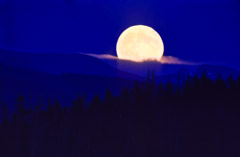 Tom Murphy  -  Moonrise / Color Pigment Print  -  Available in multiple sizes