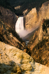 Tom Murphy  -  Lower Yellowstone Falls / Color Pigment Print  -  Available in multiple sizes
