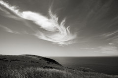 Cara Weston  -  Clouds Over Northern California 2010 / Pigment Print  -  14 x 20