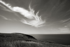 Cara Weston  -  Clouds Over Northern California 2010 / Pigment Print  -  Available in Multiple Sizes
