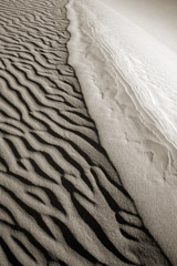 Cara Weston  -  Dune Patterns II, Death Valley, 2008 / Pigment Print  -  Available in Multiple Sizes