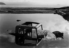 Philip Hyde  -  Sunken Car, Sausalito, San Francisco Bay, California, 1948 / Pigment Print  -  Available in multiple sizes