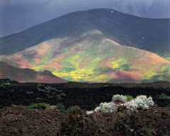 Philip Hyde  -  Lava, Flowers, Craters of the Moon National Monument, Idaho, 1983 / Pigment Print  -  16 x 20