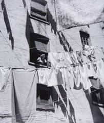 Jules Aarons  -  My Mother Hanging Laundry in the Yard:  Bronx, New York / Silver Gelatin Print  -  11 x 9