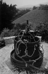 Ansel Adams  -  Old wine press / Silver Gelatin Print  -  30 x 20 (38x26 mat)
