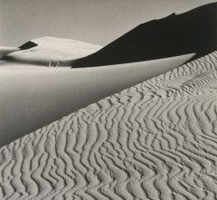 Ansel Adams  -  Sand Dune, Oceano, 1950 / Silver Gelatin Print  -  9 x 9.5