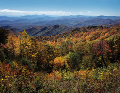 Tim Barnwell  -  Mountain vistas in the fall from the Blue Ridge Parkway / Pigment Print  -  Available in Multiple Sizes