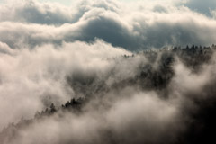 Tim Barnwell  -  Clouds, Clingmans Dome, Great Smoky Mountains National Park / Pigment Print  -  Available in Multiple Sizes