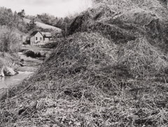 Tim Barnwell  -  Kudzu-covered hill and farmhouse, 2002 / Silver Gelatin Print  -  11 x 14