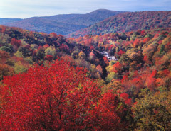 Tim Barnwell  -  Upper Falls, Graveyard Fields, Blue Ridge Parkway / Pigment Print  -  Available in Multiple Sizes