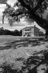 Tim Barnwell  -  Exterior, Drayton Hall Plantation, and tree, near Charleston, SC / Pigment Print  -  Available in Multiple Sizes