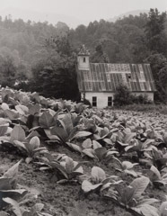 Tim Barnwell  -  Old church in tobacco field, 1981 / Silver Gelatin Print  -  11 x 14