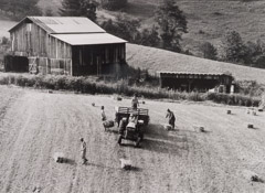 Tim Barnwell  -  Family Putting up Hay, Shelton Laurel, Madison County, NC, 1986 / Silver Gelatin Print  -  11 x 14