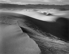 Wynn Bullock  -  Death Valley, 1940 / Pigment Print  -  9x12, 11x14 or 16x20