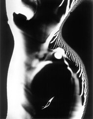 Wynn Bullock  -  Nude Photogram, 1970 / Pigment Print  -  9x12, 11x14 or 16x20