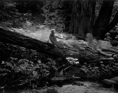 Wynn Bullock  -  Nude on Log, 1954 / Silver Gelatin Print  -  8 x 10