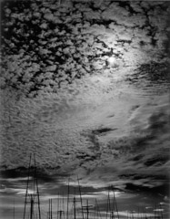 Wynn Bullock  -  The Masts, 1959 /   -  