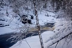 Peter Essick  -  Taivalkongas, Oulanka National Park, Finland, 2009 / Pigment Print  -  available in multiple sizes