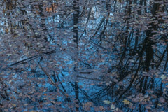 Peter Essick  -  Huntemann Pond / Pigment Print  -  Available in Multiple Sizes