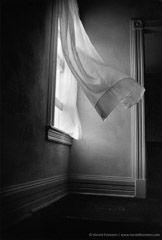 Harold Feinstein  -  Breezy Curtains, 1978 / Silver Gelatin Print  -  11 x 14