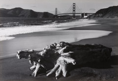 Pirkle Jones  -  Log and Golden Gate Bridge, San Francisco, 1952 / Silver Gelatin Print  -  11 x 14