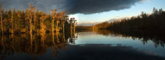 Diane Kirkland  -  Billy's Lake / Pigment Print  -  Available in Multiple Sizes