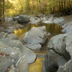 Diane Kirkland  -  Holly Creek / Pigment Print  -  Available in Multiple Sizes