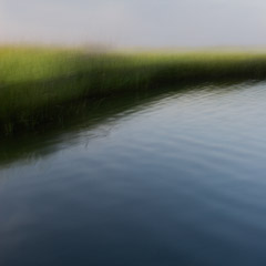 Jon Kolkin  -  Marsh Grass, 2008 / Pigment Print  -  20x20 or 24x24