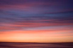 Jon Kolkin  -  Morning Glory / Pigment Print  -  20x30 or 24x36