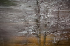 Julieanne Kost  -  New Hampshire, #0476, 2009 / Pigment Print  -  Available in Multiple Sizes