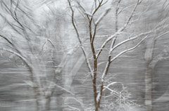 Julieanne Kost  -  New York, #2391, 2012 / Pigment Print  -  Available in Multiple Sizes