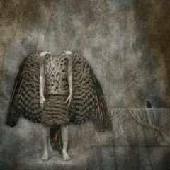 Julieanne Kost  -  Two Birds / Pigment Print  -  Available in Multiple Sizes