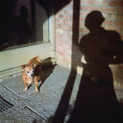 Vivian Maier  -  Self Portrait, no date, Chicago (dog) / Chromogenic Print  -  12 x 12 (on 16x20 paper)